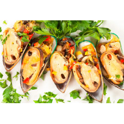 MEJILLON 1/2 CONCHA ICELANDIC KG